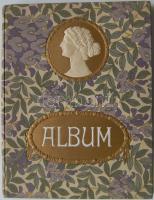 A női szépség a festőművészetben, Pesti Napló előfizetői számára készült kiadás, 128 tónusnyomású és 12 többszínnyomású képpel, dombornyomott, aranyozott vászonkötésben