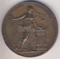 1885. Schwartz: Országos Általános Kiállítás Budapest Br emlékérem 65mm T:2 ph.