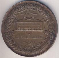 1885. Schwartz: Országos Általános Kiállítás Budapest Br emlékérem 65mm T:2 ph