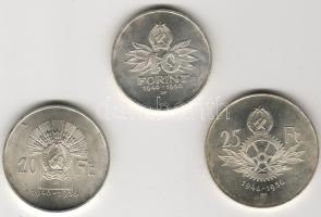 1956. "10 éves a Forint" sor 10Ft, 20Ft, 25Ft ezüst díszdobozban T:BU