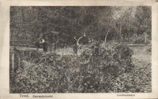 Tevel Csermely levélhulláskor