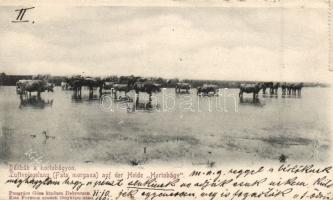 Hortobágy délibáb