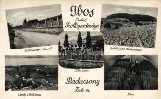 Badacsony Ibos családi szőlőgazdaság