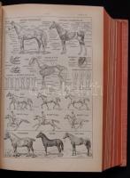 1913 Kis Larousse lexikon kb 6000 metszettel, fényképekkel és térképpel, Illusztrált egészvászon köt...