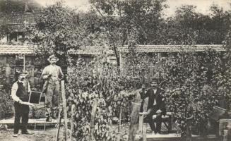 Pankota the beekeeper house  of István Szabó