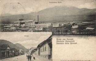 Zernest with cellulose factory