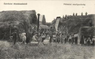 Alsódombó parsonage farm