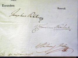 1796 Helytartótanácsi leirat József nádor saját kezű aláírásával és királyi szárazpecséttel / Ex off...