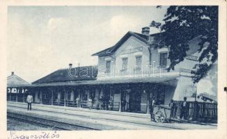 Nagyszőlős Railway Station