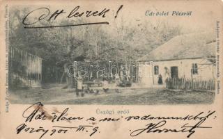 Pécs Üszögi erdő (Rb)