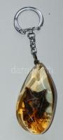 Borostyán kulcstartó benne gyöngykagylóval / Ivy key-holder with pearl-oyster