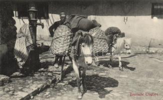 Sarajevo horse carriage