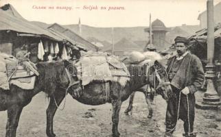 Sarajevo horse carriage