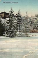 Arad Salacz park in winter