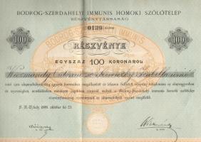 1898 Bodrog-Szerdahelyi Immunis Homoki Szőlőtelep 100K részvény / Weinbau-Gesellschaft Aktie