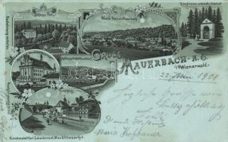 Mauerbach with hospital Litho (EB)