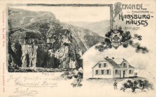 1899 Bergheil Habsburg-houses