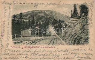 1898 Baumgartner railway-station