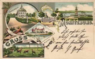 1899 Moritzburg with phare  Litho