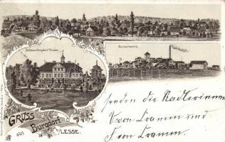 1897 Burgdorf with sugar factory Litho (EK)