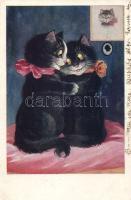 Cat couple