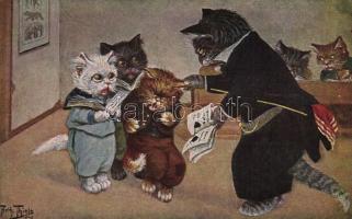 Cats school s: Arthur Thiele (EK)