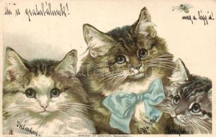 1899 Cats litho