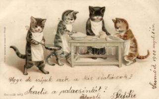 Cats cook litho