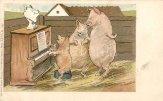 1899 Pigs, piano humour litho