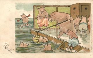 1899 Pigs spa humour litho (EB)