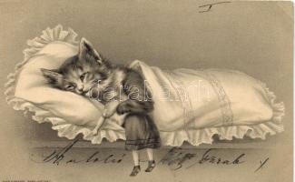 Cat, doll, bizarre litho (EK)
