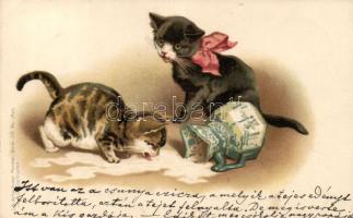 1899 Cats, milk litho