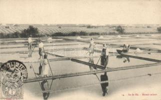 Ile de Ré Salt-makers