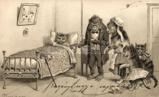 Monkey doctor and cats Emb. litho