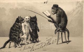 Monkey teacher and cats Emb. litho