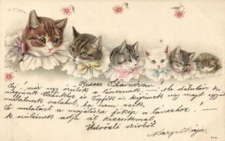 1899 Cats litho