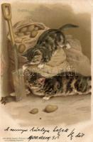 Cats litho (EK)