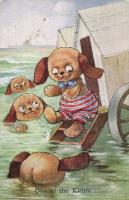 One of the Knuts s: Kennedy