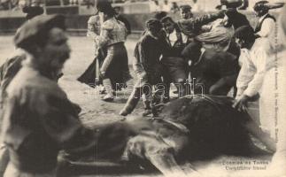 Injured picador torreador