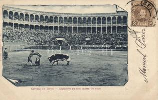 Bull-fight torreador