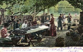 Obermais Grape-export