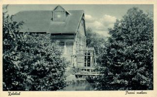 Zalalövő Pacsai malom