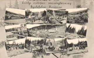 Gyulafalva Timber-company with train / Erdőipari Rt. (EB)