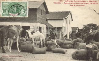 Thiés peanut vendor