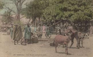 West African folklore, Senegal