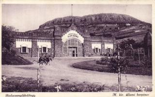 Badacsonylábdihegy Állami borpince