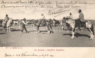 Horse farm in Argentina (Rb)