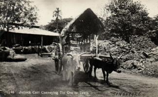 Bullock cart, Singapore