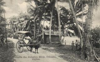 Cart beside the Kelaniya River, Colombo