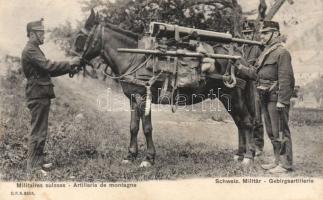 Swiss soldiers, mountain artillery